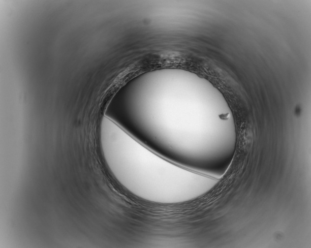X0000099300756200805020756