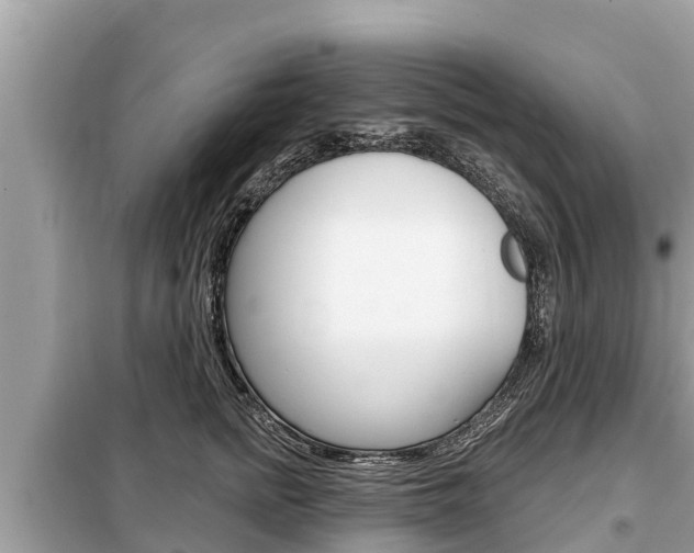 X0000099300758200805020756