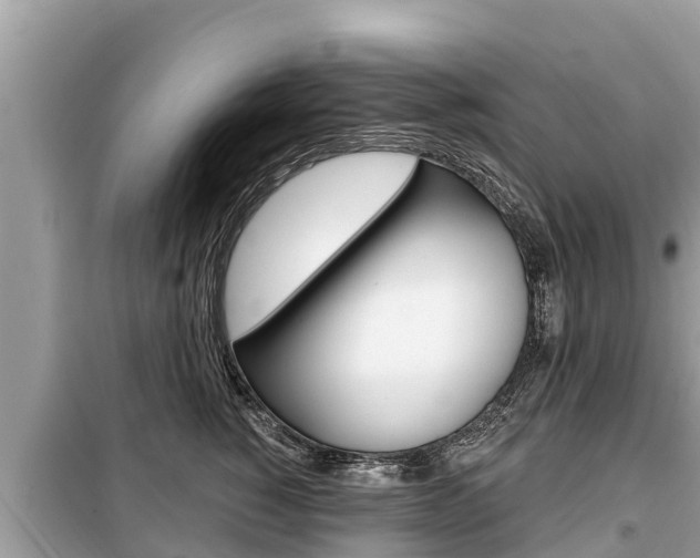 X0000099300760200805020756