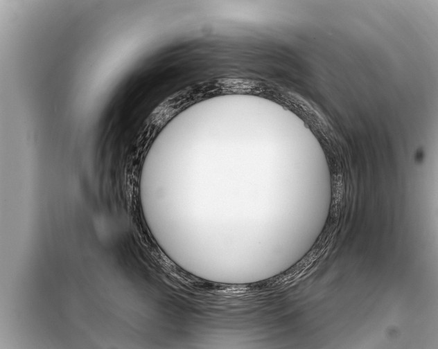X0000099300761200805020756