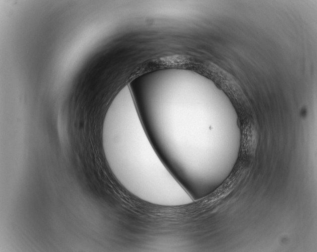 X0000099300762200805020756