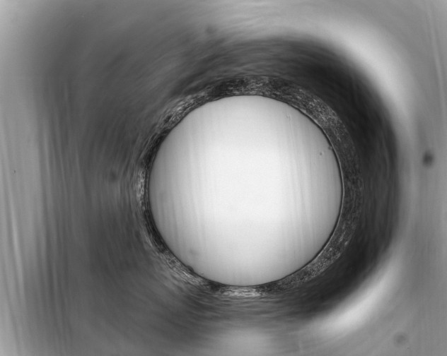 X0000099300767200805020756
