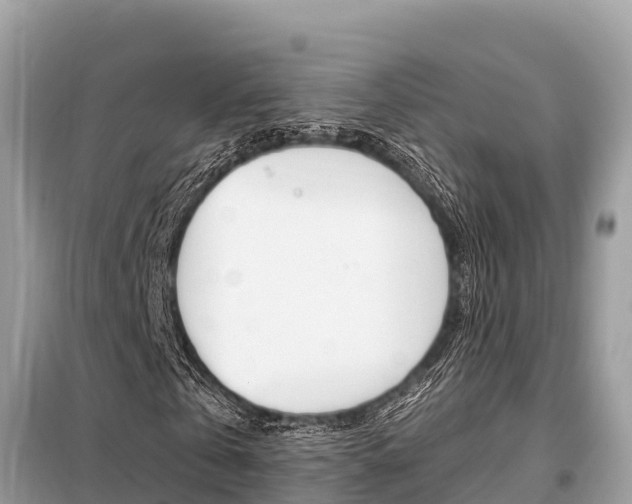 X0000099300769200805020756