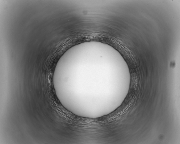 X0000099300770200805020756