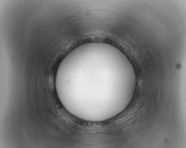 X0000099300772200805020756