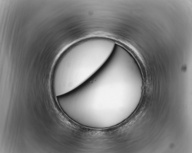 X0000099300783200805020756