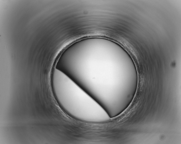 X0000099300789200805020756