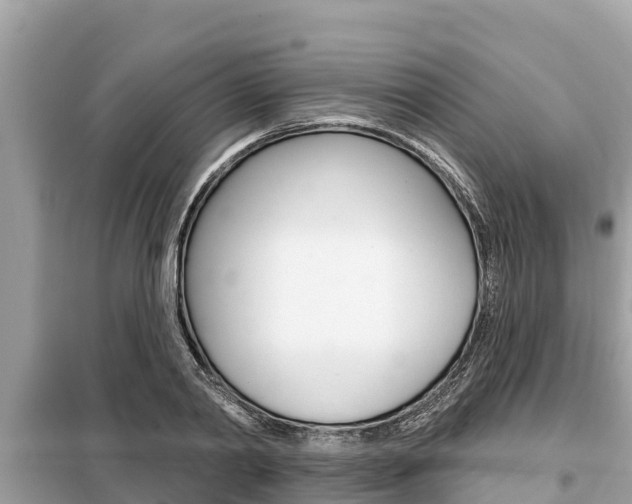 X0000099300790200805020756