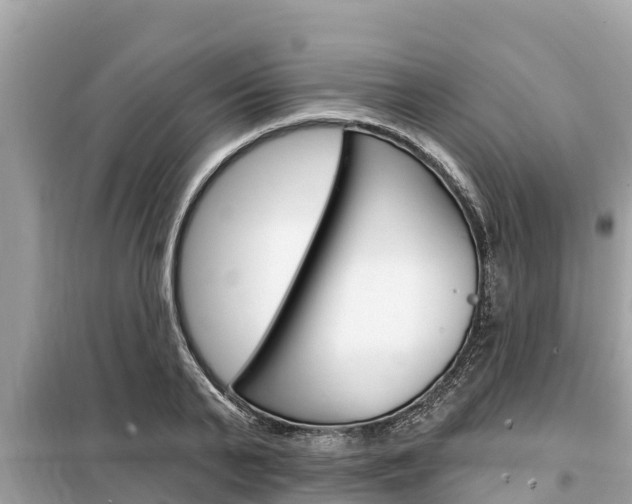 X0000099300791200805020756