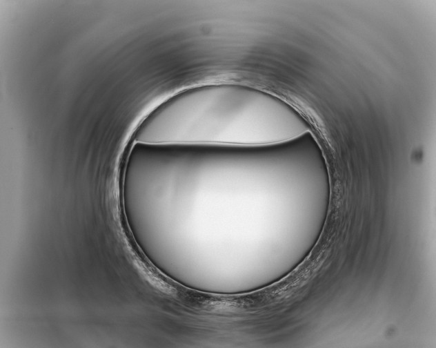 X0000099300792200805020755