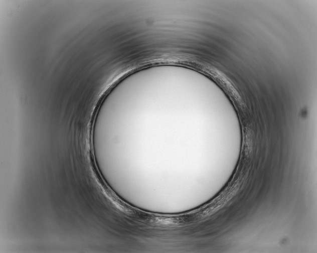 X0000099300794200805020755