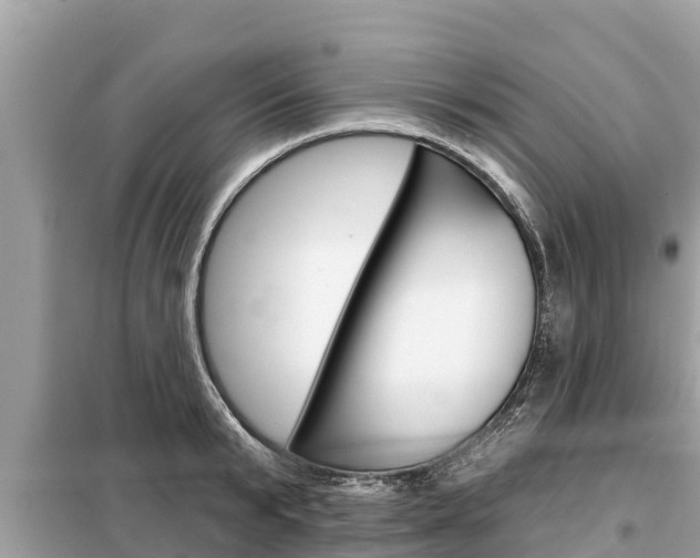 X0000099300799200805020755