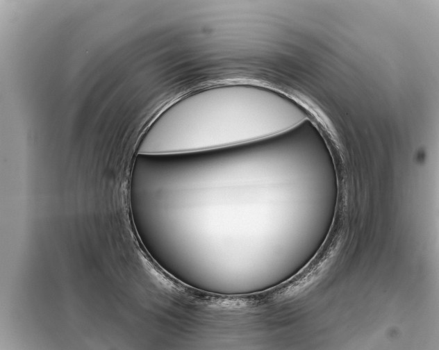 X0000099300801200805020755
