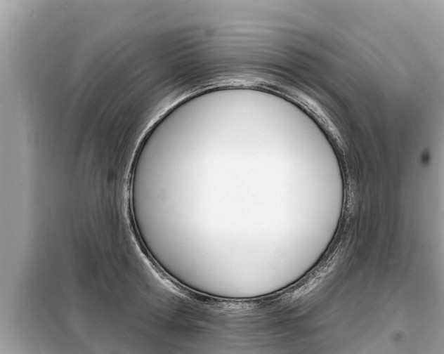 X0000099300802200805020755