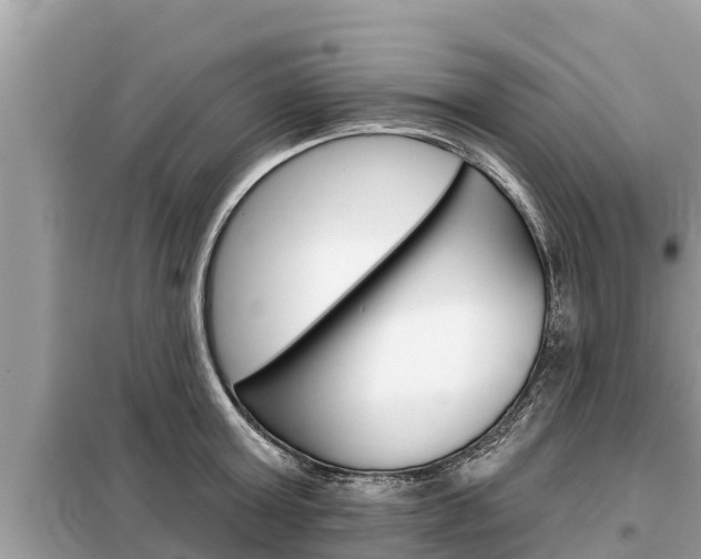 X0000099300803200805020755