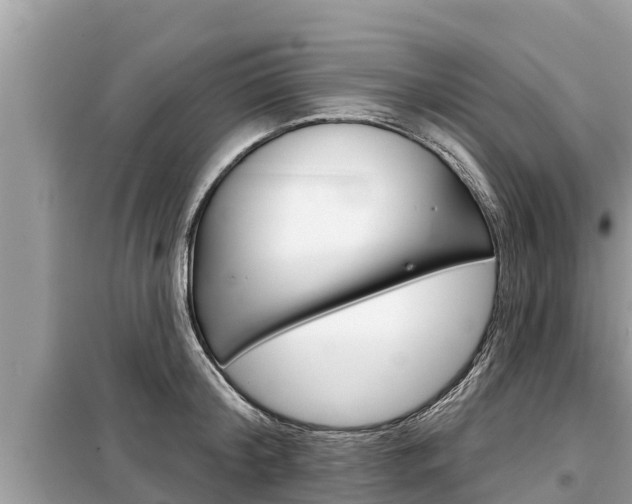 X0000099300804200805020755