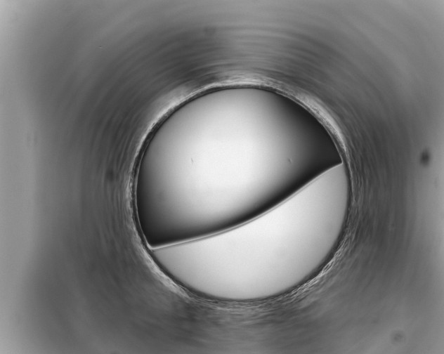 X0000099300805200805020755