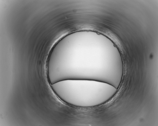 X0000099300806200805020755