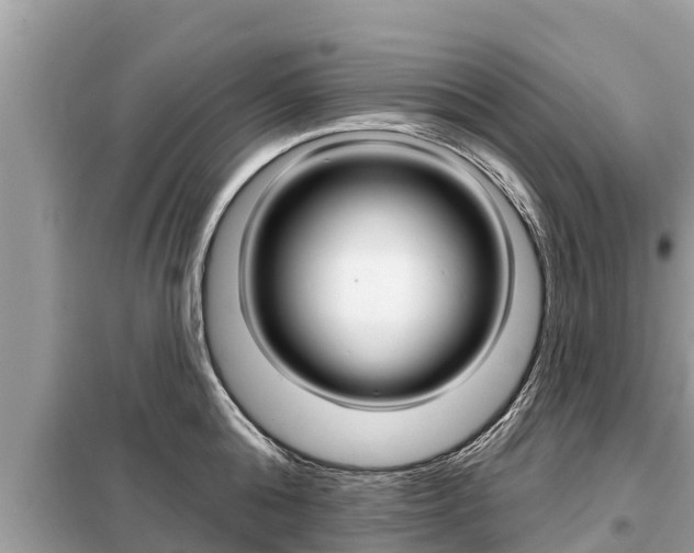 X0000099300808200805020755