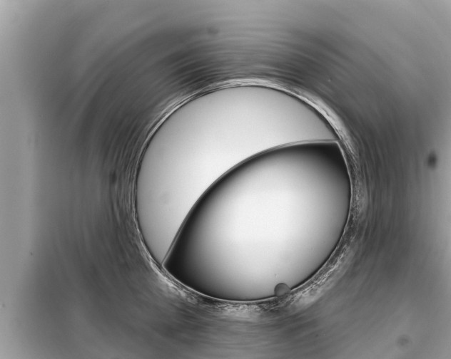 X0000099300809200805020755