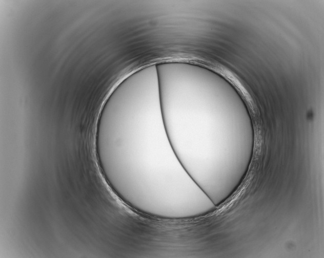 X0000099300810200805020755