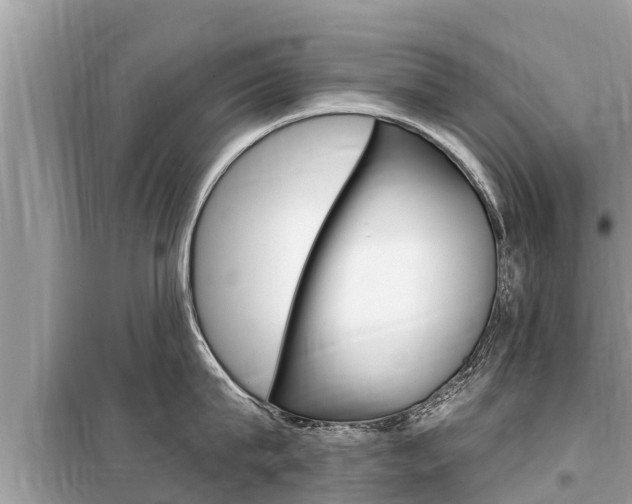 X0000099300815200805020755
