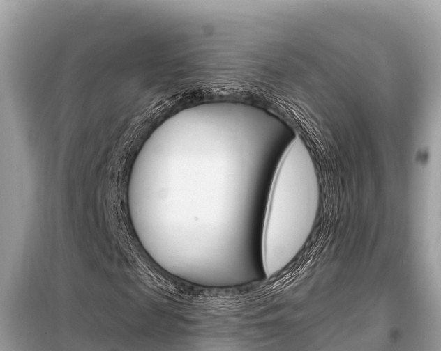 X0000099300817200805020754