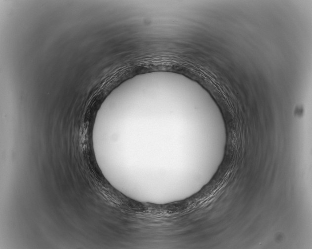 X0000099300818200805020755
