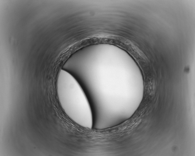 X0000099300821200805020755