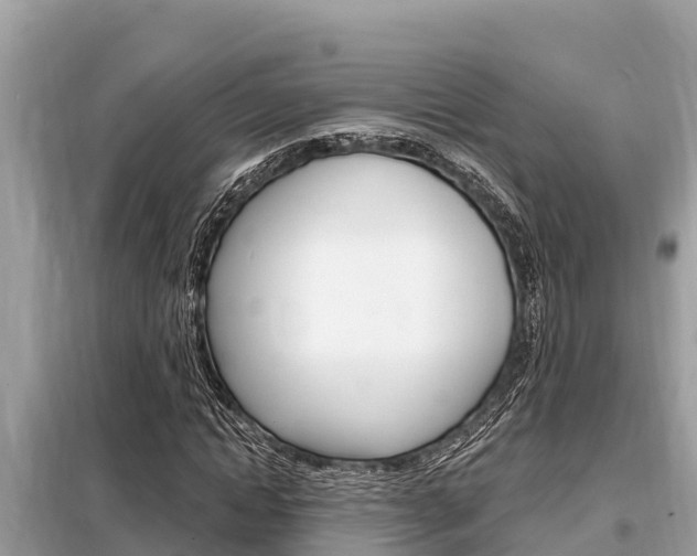 X0000099300822200805020755