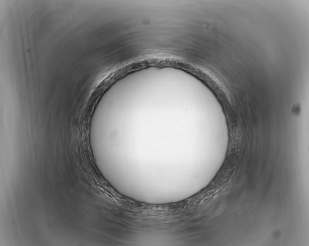 X0000099300823200805020755