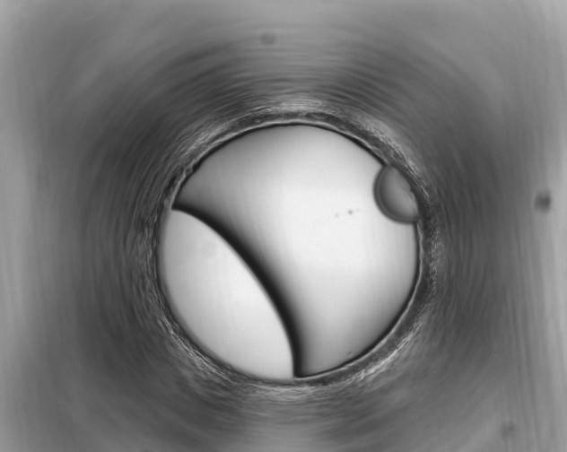 X0000099300825200805020755