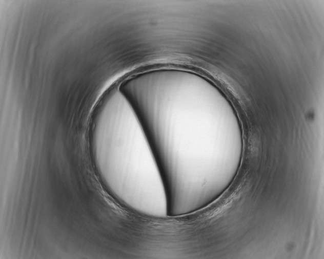 X0000099300830200805020755