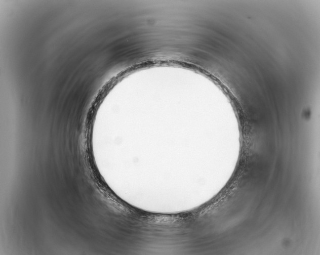X0000099300832200805020755