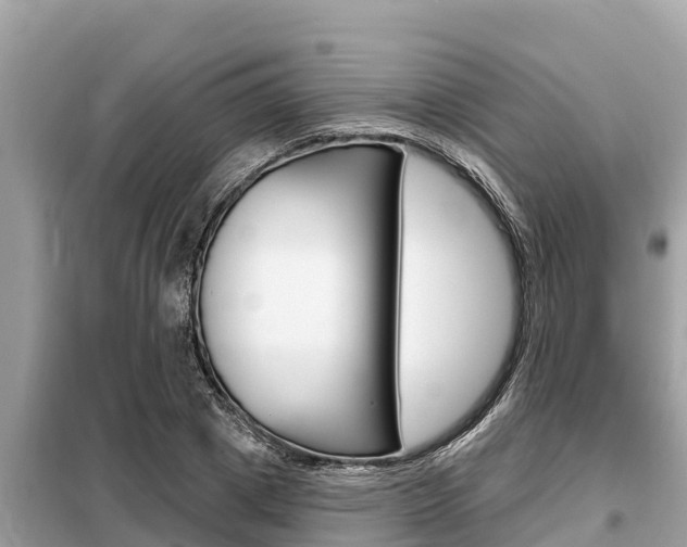 X0000099300833200805020755