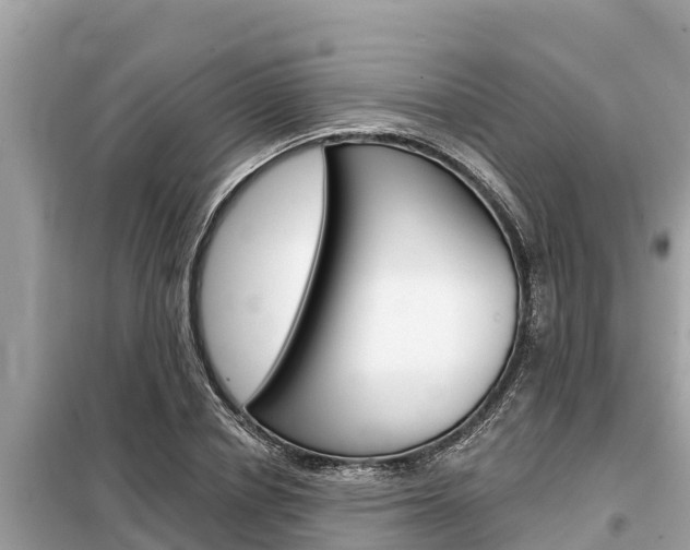 X0000099300834200805020755