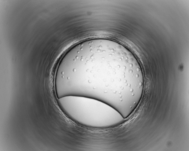 X0000099300835200805020755