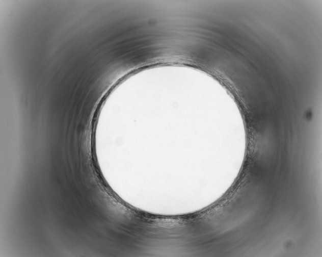 X0000099300836200805020755