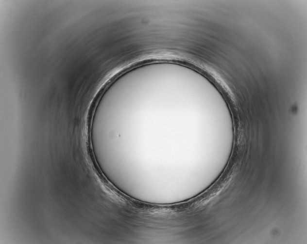 X0000099300837200805020755