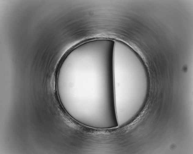 X0000099300838200805020755