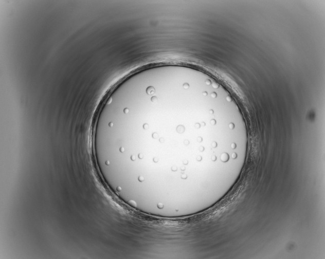 X0000099300839200805020755