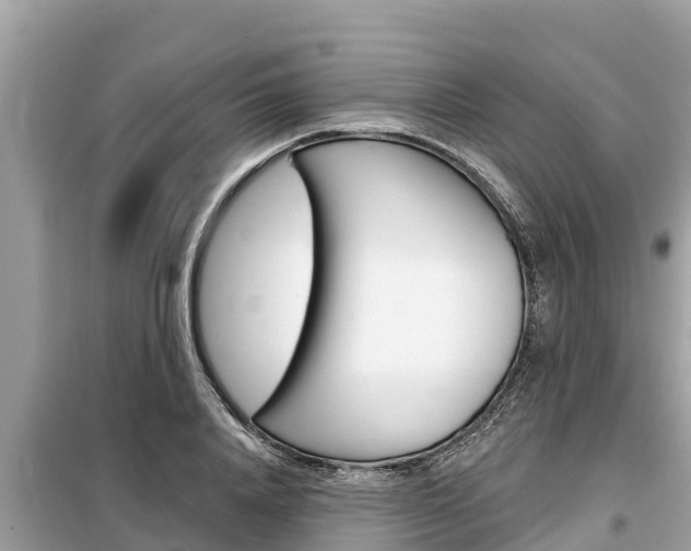 X0000099300840200805020755