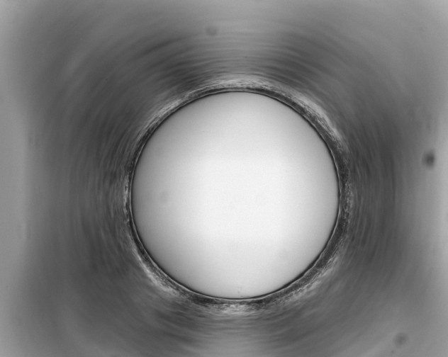 X0000099300841200805020755
