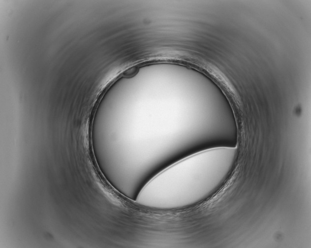 X0000099300842200805020755