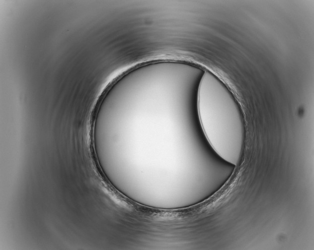 X0000099300846200805020755