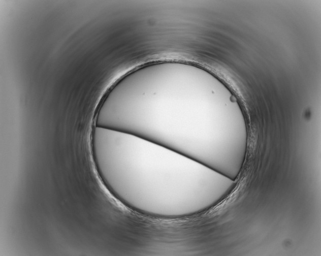X0000099300847200805020755