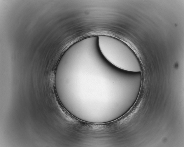 X0000099300849200805020755