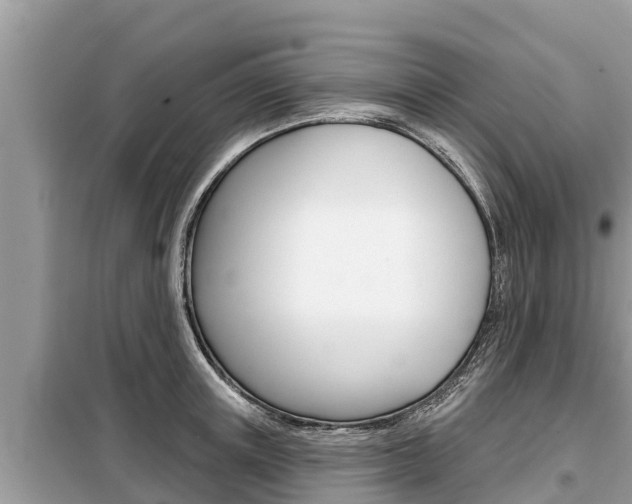 X0000099300851200805020755