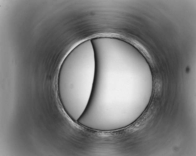 X0000099300852200805020755