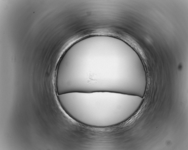 X0000099300855200805020755